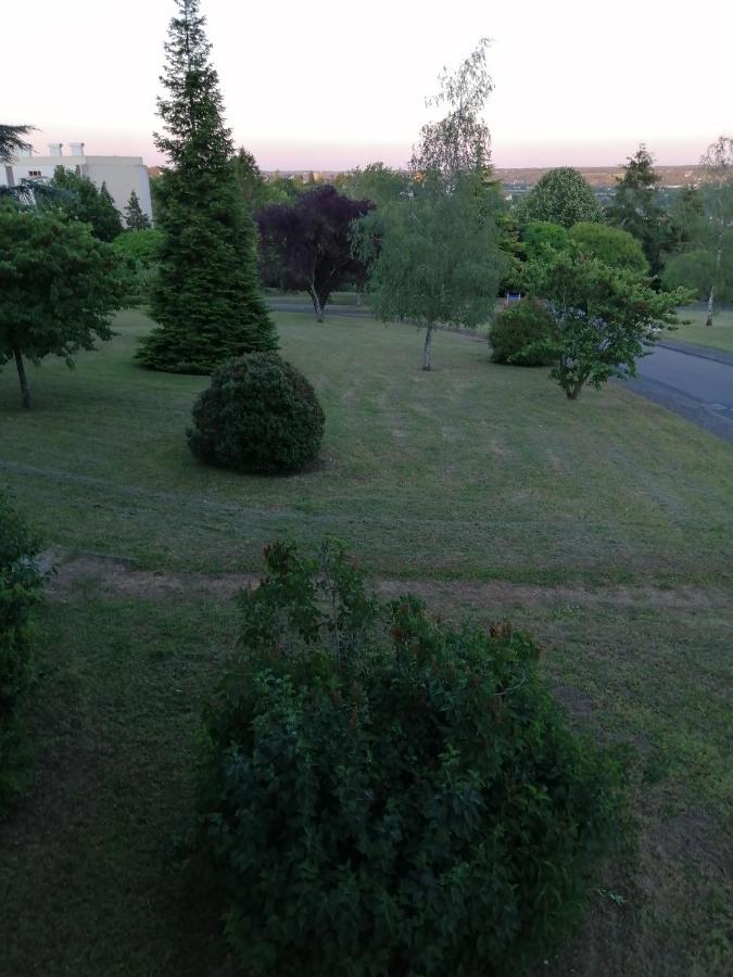 Appartement Pres De Beauval Et Des Chateaux Montrichard Exteriör bild